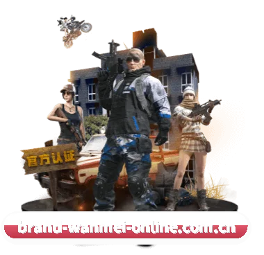 专业赛事服务, 为你而来